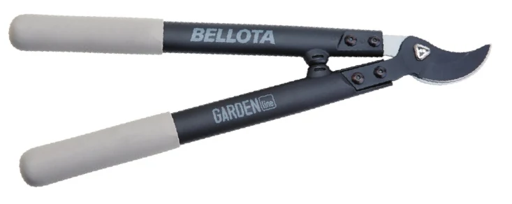Sécateur extensible